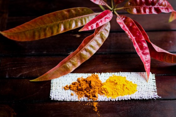 Cabbage_varai_feature-1