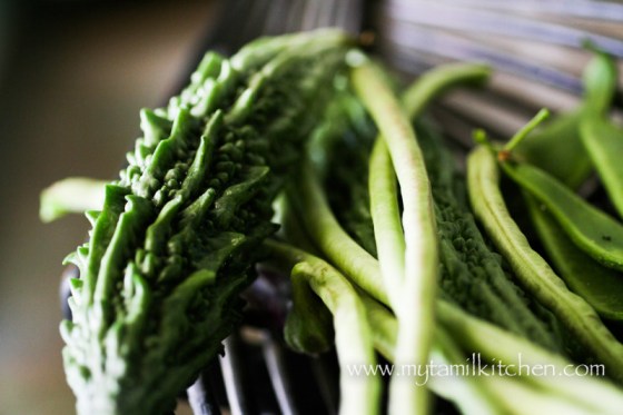 MTK_paavakkai poriyal-3